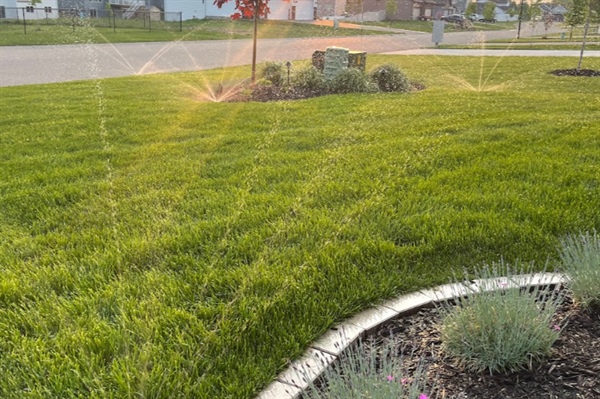 Benefits of Installing an Irrigation System for Your Lawn